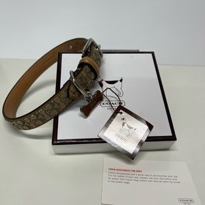Coach Medium Dog Collar